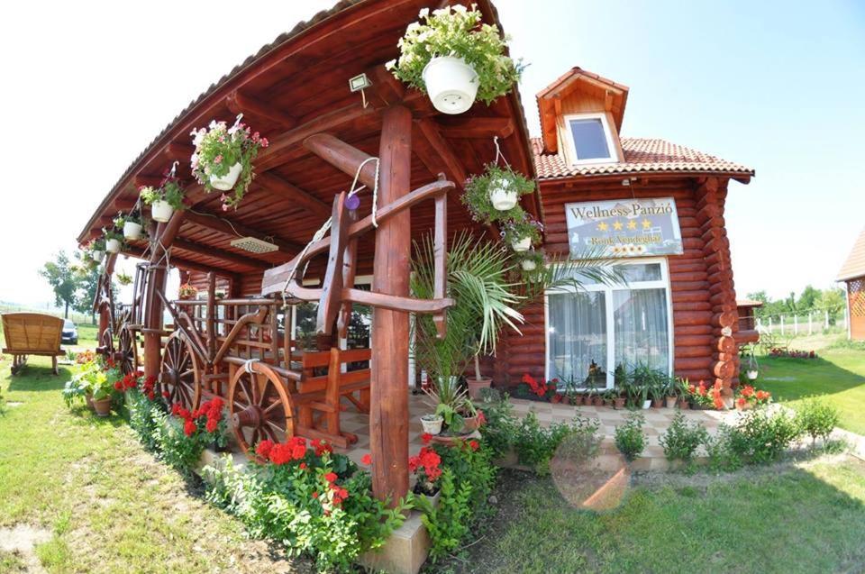 Roenk-Wellness Panzio Mezopeterd Bed & Breakfast Eksteriør bilde