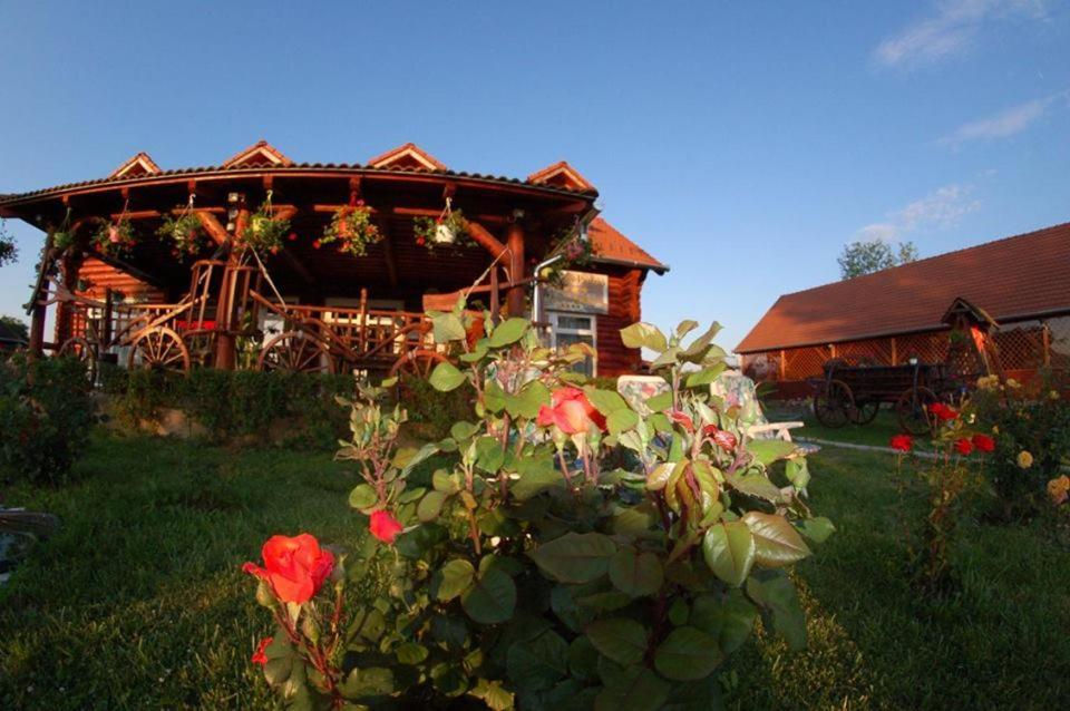 Roenk-Wellness Panzio Mezopeterd Bed & Breakfast Eksteriør bilde